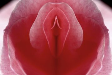 5 things about the vagina